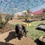 Santuario animal. Héroes sin capa. Milagros del valle