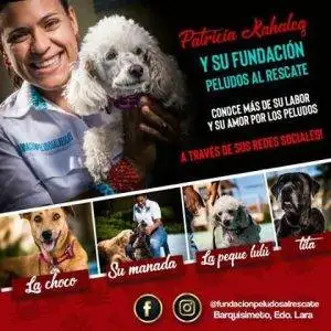 Fundación Peludos al rescate