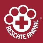 Logo de la Fundación Rescate Animal Ecuador