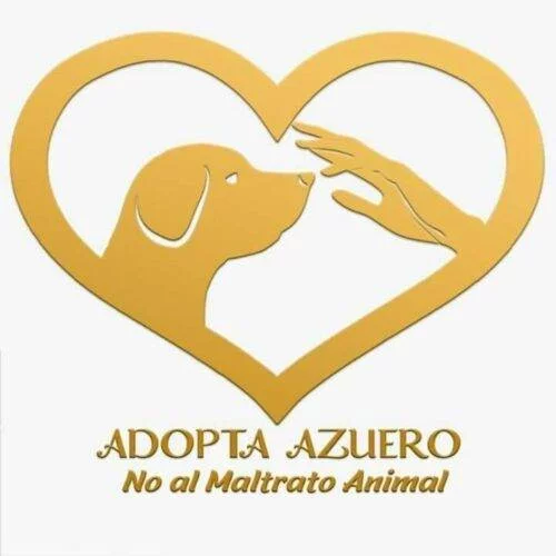 Adopta Azuero. Adoptar un perro en Panamá. Rescate Animal