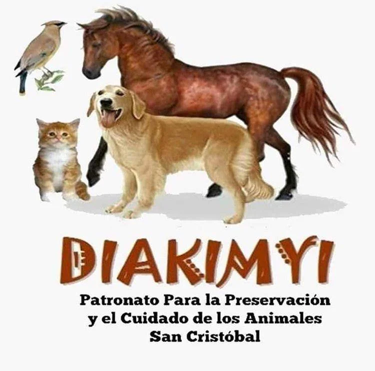 Diakimyi. Rescate y Bienestar Animal en República Dominicana.