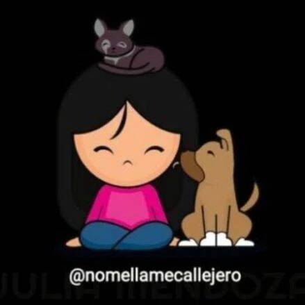 No Me Llame Callejero. Adopción de animales