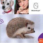 logo de Aquarelas pets y un retrato para tu mascota