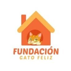Fundación Gato Feliz Venezuela. Rescate y adopción de gatos