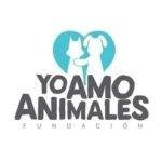 Héroes sin capa. Yo amo animales