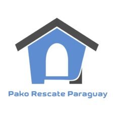 Adoptar perros en Paraguay. Pako Rescate