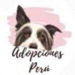 Logo de asociación rescatistas "Adopciones Peru".