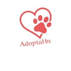 Adopta Honduras. Adopción perros y otras mascotas en Honduras