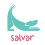 Organización Salvar. Heroes sin capa. petepua