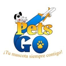 Traslado Internacional de mascotas: Viajar con tu mascota Petsgo