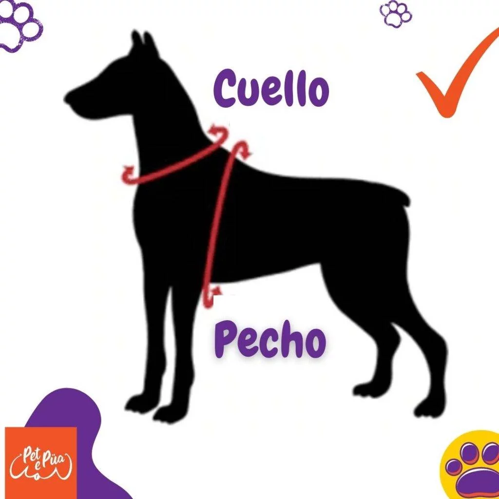 medida cuello y pecho. artículos web petepua