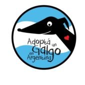 Adoptá un Galgo en Argentina