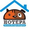 HOTEPA: Adopta un amigo.