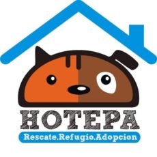 HOTEPA: Adopta un amigo.
