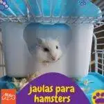 jaulas para hamsters. petslovers. artículos web petepua