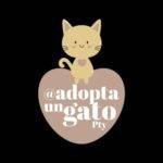 Adopta un gato Panama. Adopta un gato Panama logo .heroes sin capa. petepua.