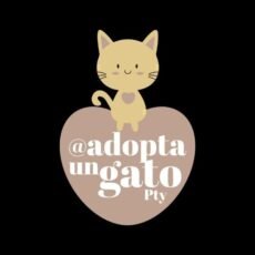 Adopta Un Gato Panamá