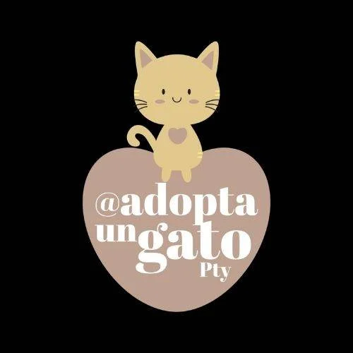 Adopta un gato Panama. Adopta un gato Panama logo .heroes sin capa. petepua.