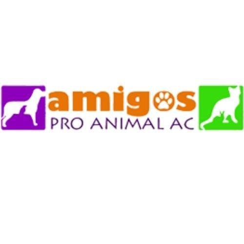 Mascotas en aguascalientes. Amigos Pro Animal Conócelos en Pet-e-Püa