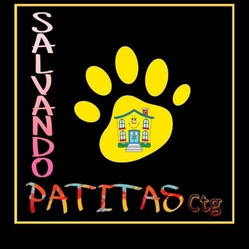 Salvando Patitas Cartagena