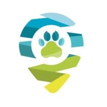 Historias con pulgas