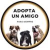 Adopta Un Amigo Para Siempre. Rescate de perritos en México