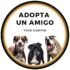 Adopta Un Amigo Para Siempre. Rescate de perritos en México