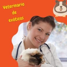 Veterinario de exóticos