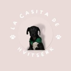 La Casita de Hvitserk. Adoptar una mascota en Ciudad de México.