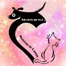 Adoptar perros y gatos en CDMX. Madrinas de 4 Patas.