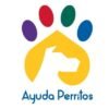 Adoptar un perrito en México. Rescatistas Ayuda Perritos