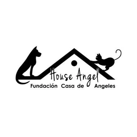 Adopción de perros y gatos en Bolivia. House-Angel. Fundación Casa de los Ángeles