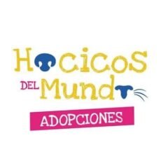 Adoptar un perrito en La Paz, Bolivia. Hocicos del Mundo