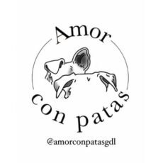 Adoptar un perro en Guadalajara. Amor con patas GDL