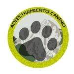 La agresividad en los perros. Causas y tratamiento. Adiestramiento canino Bcn