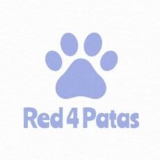 Red 4 Patas. Rescate y adopción perros y gatos en Buenos Aires