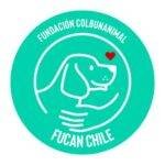 Adoptar un perro en Chile. Fundación Colbún Animal logo. heroes sin capa