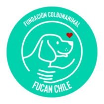 Adoptar un perro en Chile. Fundación Colbún Animal