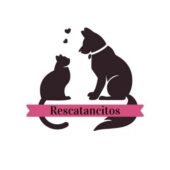 Rescatancitos. Adoptar un perro o gato en Buenos Aires.