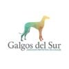 Adopta un galgo en España. Galgos del Sur