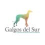 Adopta un galgo en España. Galgos del Sur