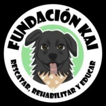 Rescate de animales en Chile. Fundación Kai