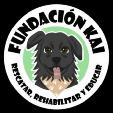 Rescate de animales en Chile. Fundación Kai