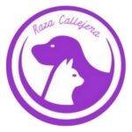 raza callejera. raza callejera logo. heroes sin capa.