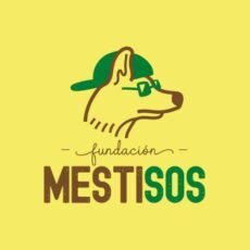 Fundación MestiSOS. Adopción de perros en Cundinamarca