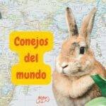 razas de conejos . conejos del mundo. conejos. petepua