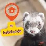 habitación hurón. ferret room. habitaciones para hurones. hurones. petepua