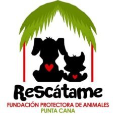 Rescate y adopción de perros y gatos en República Dominicana