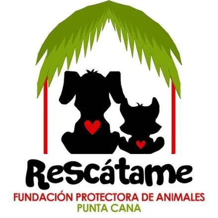 Rescate y adopción de perros y gatos en República Dominicana