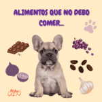 Aimentos que no deben comer los perros